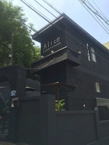 Alice Guesthouse